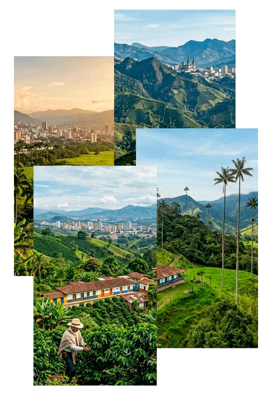 collage deptos 1